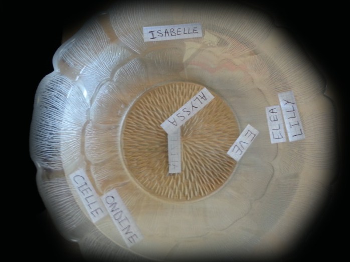 resultat-concours-elements